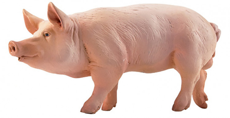 Фигурка домашняя свинья Papo 51044 — купить в фирменном магазине Papo