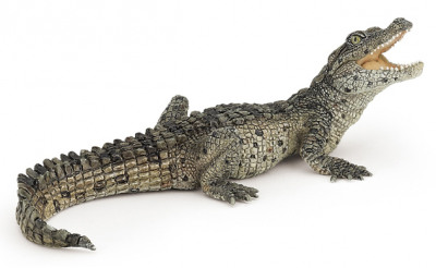 Фигурка Детёныш гребнистого крокодила Papo