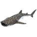 Детёныш китовой акулы Rhincodon typus — фигурка игрушка морского обитателя