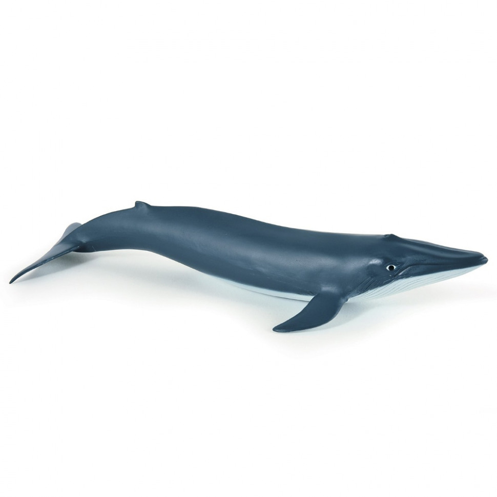 Фигурка Детеныш голубого кита Papo